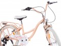 Sun Baby Flower Bike 20
