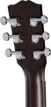 Gibson L-00 Special