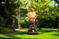 Cedrus KS56S-H