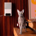 Petcube Bites 2 Lite