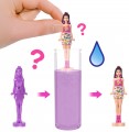 Barbie Mini BarbieLand JCR08