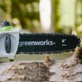 Greenworks G24PSH 1303307