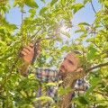 GARDENA PremiumCut 12252-20