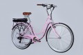 Dorozhnik eRetro Vbr FR 500W 2025