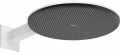 Hansgrohe Raindance Alive S 300 24540000