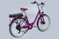 Dorozhnik eRUBY DD FR 500W 2025