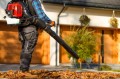 Cedrus DM05PRO