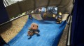Sumo Digital Sackboy: A Big Adventure