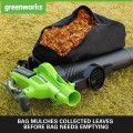 Greenworks GD40BVII 2406907