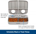 PetSafe 2 Meal Pet Feeder