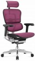 Comfort Ergohuman Elite 2