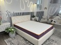 Family Sleep Crocus
