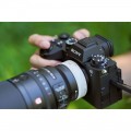 Sony 100mm f/2.8 GM FE Macro