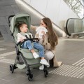 Britax Romer Flylite