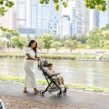Britax Romer Flylite