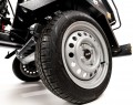 Cedrus RBR13