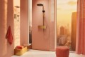 Hansgrohe Raindance Alive S 300 EcoSmart 24596000