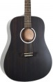 Washburn DFED-U