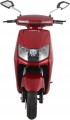 Forte T3