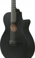 Ibanez AEG1221