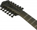 Ibanez AEG1221
