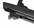 Gamo Black Bear