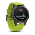 Garmin Fenix 5