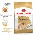 Royal Canin Adult Pomeranian 0.5 kg