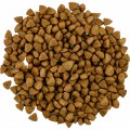 Savory Adult Cat Steril Fresh Lamb/Chicken 8 kg