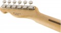 Fender Brad Paisley Road Worn Telecaster