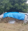 Bradas Tent 3x7m 60g