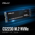 PNY CS2230