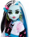 Monster High Frankie Stein HHK53