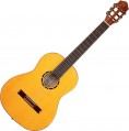 Ortega R170F