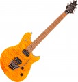 EVH Wolfgang WG Standard QM