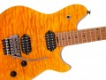 EVH Wolfgang WG Standard QM