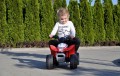 Milly Mally Quad Honda ATV