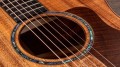 Taylor 724ce