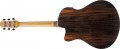 Ibanez AAM70CE