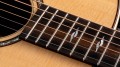 Taylor 811e