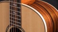 Taylor 811e
