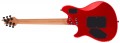 EVH Wolfgang WG Standard