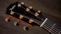 Taylor 222ce-K DLX