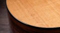 Taylor 254ce Plus