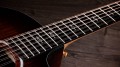 Taylor 264ce-K DLX