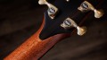 Taylor Builder's Edition 914ce WHB