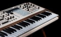 Arturia Polybrute 12