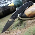 Spyderco Native Chief FRN Black Blade