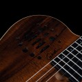 Godin ACS Nylon KOA Extreme HG