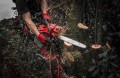 Milwaukee M18 FTHCHS30-0